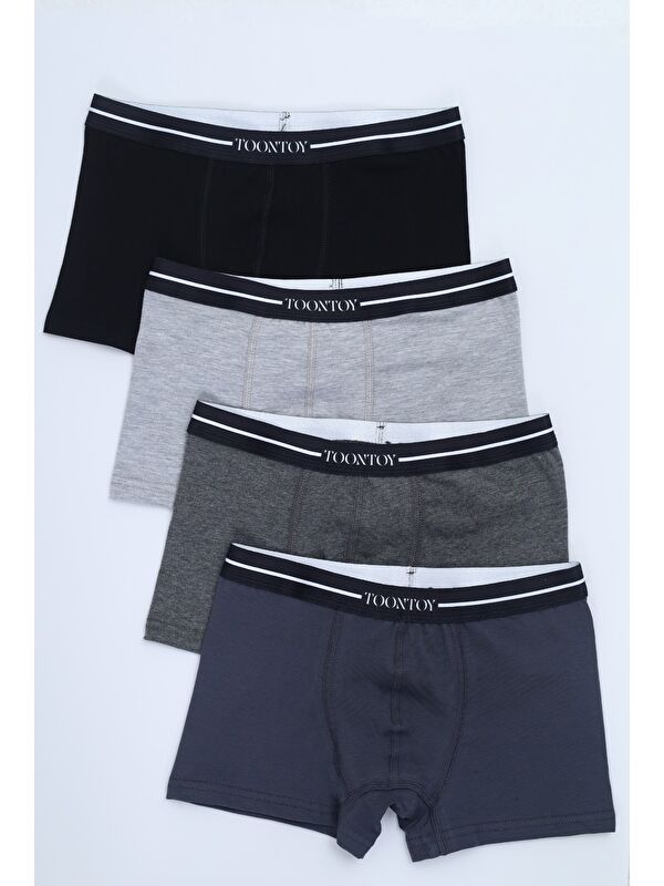 Toontoykids Erkek Çocuk Yazı Baskılı 4lü Paket Boxer