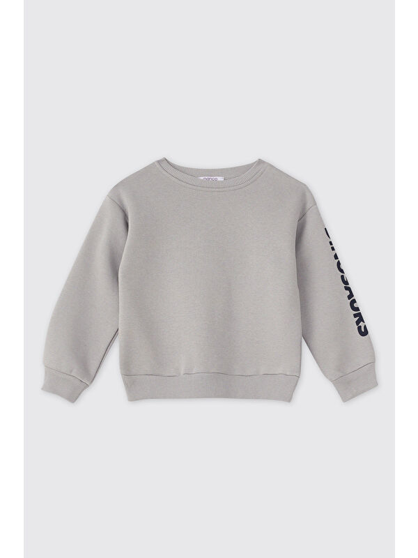Panço Erkek Bebek Gri Sweatshirt