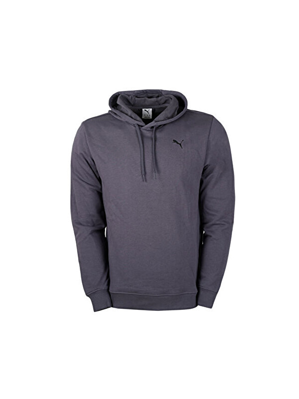 Puma Tad Ess French Terry Hoodie Erkek Günlük Sweatshirts 52591869 Renkli