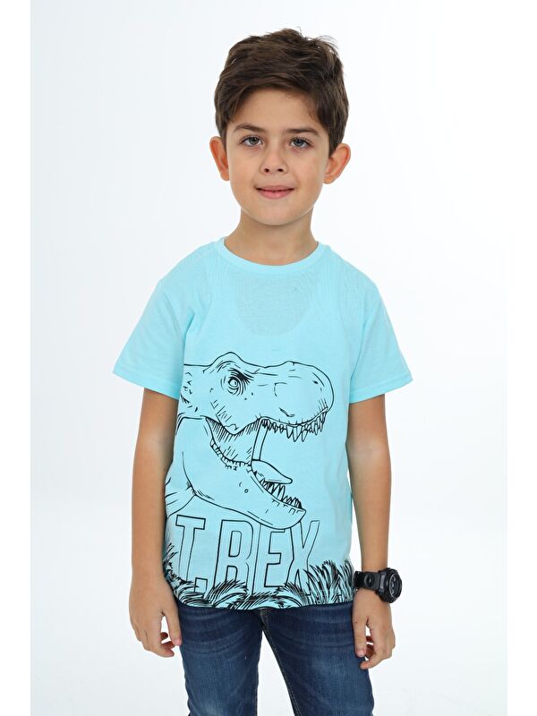 Toontoykids Erkek Çocuk Baskılı Tişört