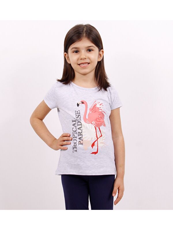 Toontoykids Kız Çocuk Tişört Flamingo Baskılı