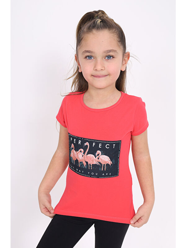 Toontoykids Kız Çocuk Flamingo Baskılı Tişört