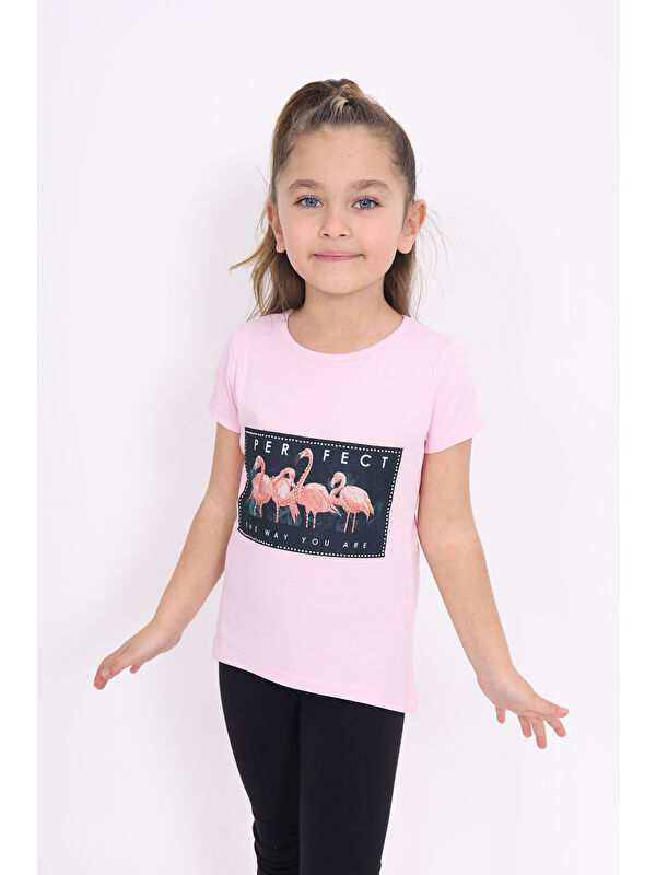 Toontoykids Kız Çocuk Flamingo Baskılı Tişört