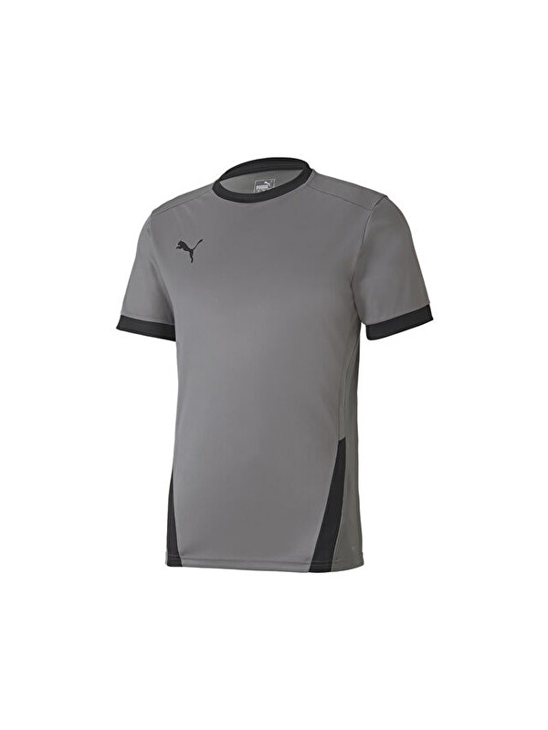 Puma Teamgoal 23 Jersey Erkek Futbol Forması 70417113 Gri