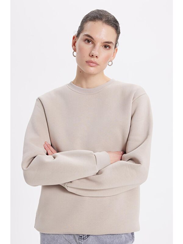 TUDORS Kadın Oversize Geniş Kesim Pamuklu 3 İplik İçi Polarlı Basic Taş Bisiklet Yaka Sweatshirt