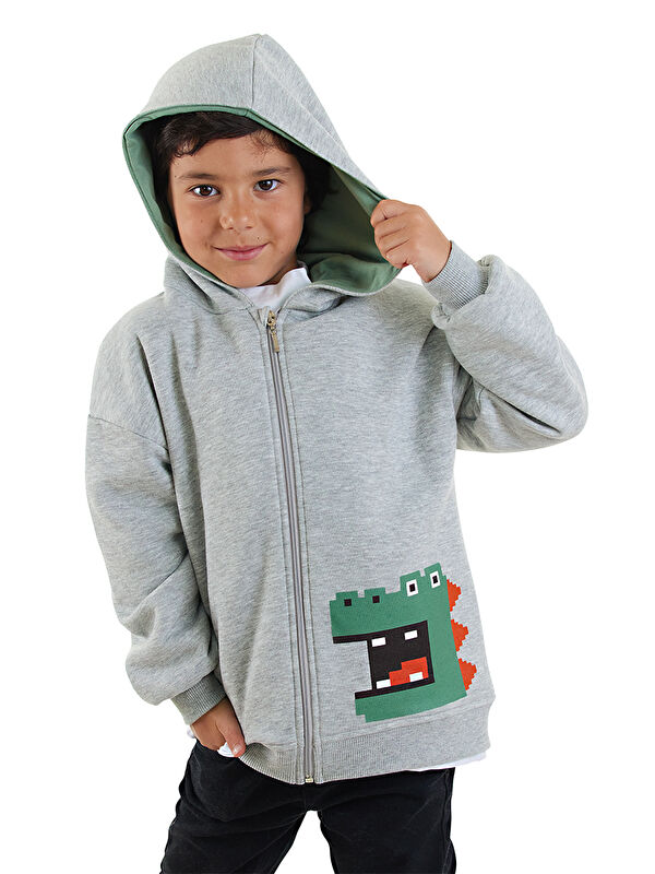 Denokids Dinozor Erkek Çocuk Fermuarlı Kapüşonlu Sweatshirt