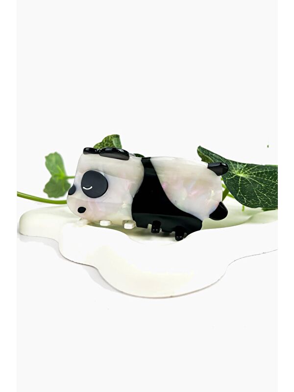 New Obsessions Tombul Panda Asetat Mandal Toka