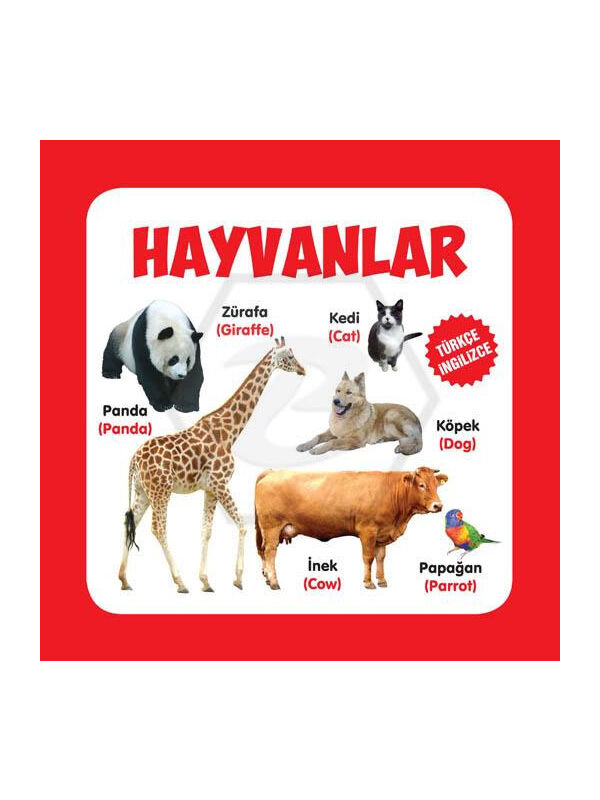 Parıltı Yayınları Hayvanlar Türkçe İngilizce