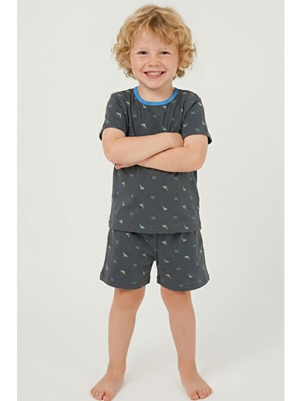 Breeze Erkek Bebek Şortlu Pijama Takımı Renkli Dinozor Desenli Antrasit (9 Ay-3 Yaş)