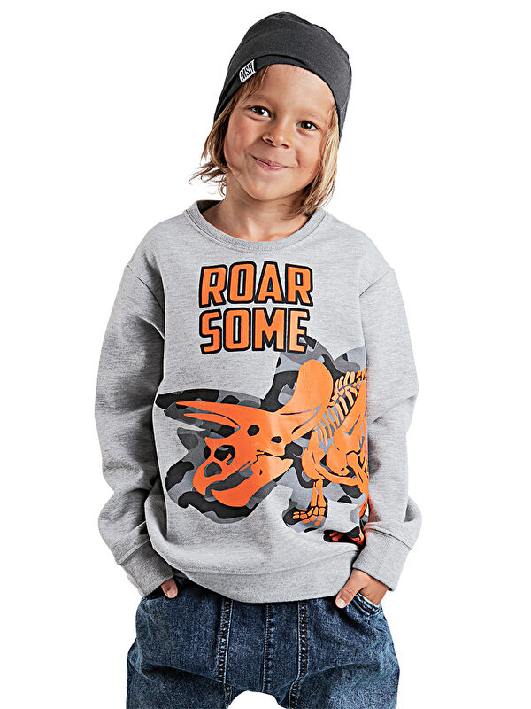 Denokids Roar Erkek Çocuk Gri Sweatshirt