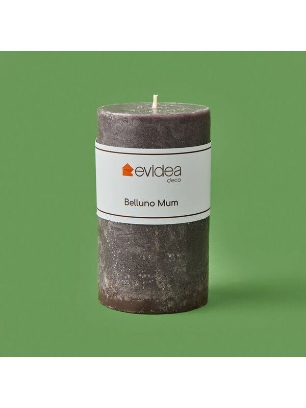 Evidea Deco Belluno Mum - Koyu Gri - 12 cm