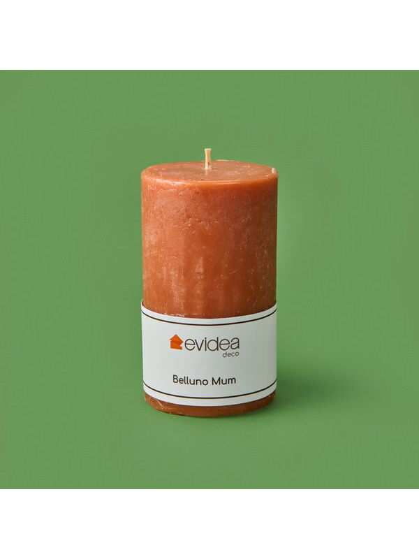 Evidea Deco Belluno Mum - Somon - 12 cm