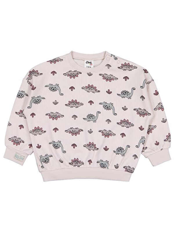 Civil Baby Adventurous Dino 6-18 Ay Sweatshirt