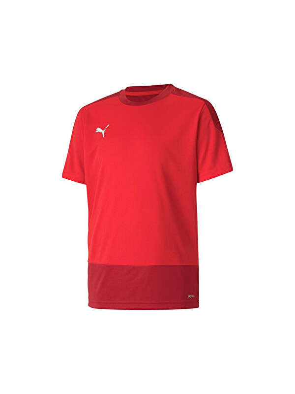 Puma Teamgoal 23 Training Jersey Erkek Futbol Forması 65648201 Kırmızı