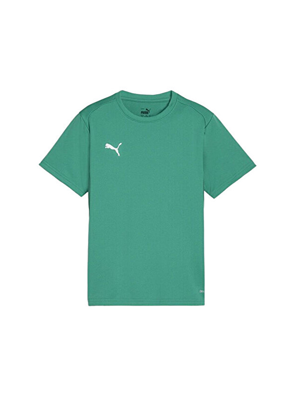 Puma Teamgoal Jersey Erkek Futbol Antrenman Tişörtü 65863605 Yeşil
