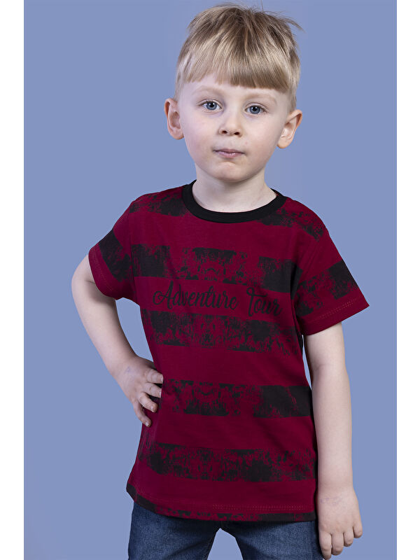 Toontoykids Erkek Çocuk Çizgi Desenli Tişört