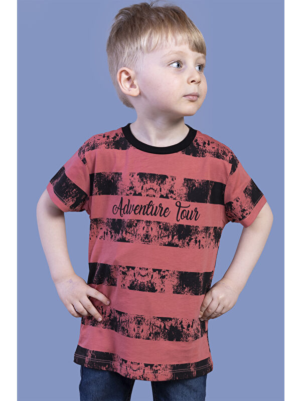 Toontoykids Erkek Çocuk Çizgi Desenli Tişört