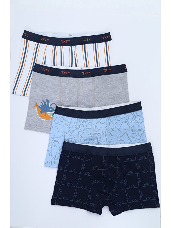 Toontoykids Erkek Çocuk Çok Desenli 4lü Paket Boxer