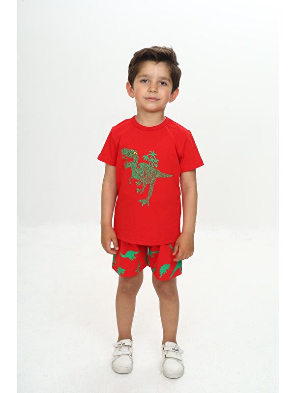 Toontoykids Erkek Çocuk Kabaran Dinozor Baskılı Şortlu Takım