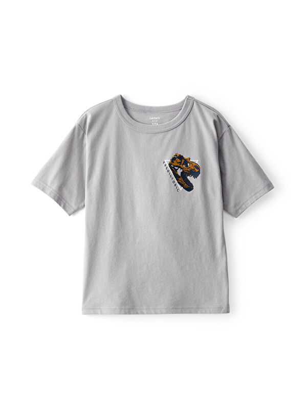 Carter's Erkek Çocuk Gri Tshirt