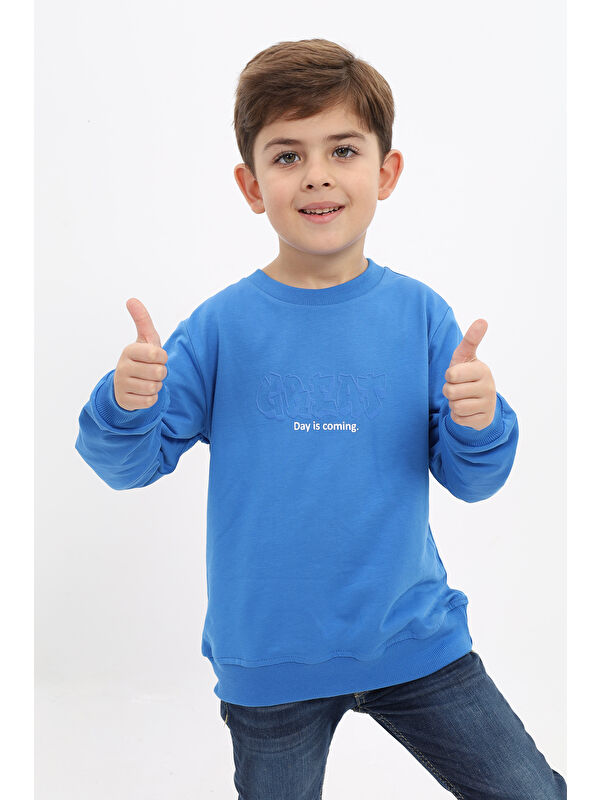 Toontoykids Erkek Çocuk Baskılı Sweatshirt