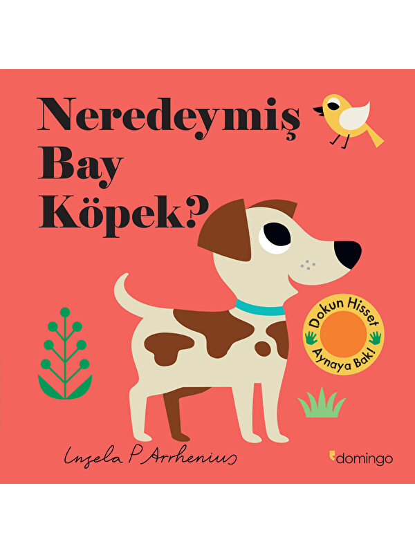 Domingo Yayınevi Neredeymiş Bay Köpek? (Dokun, Hisset, Aynaya Bak!)