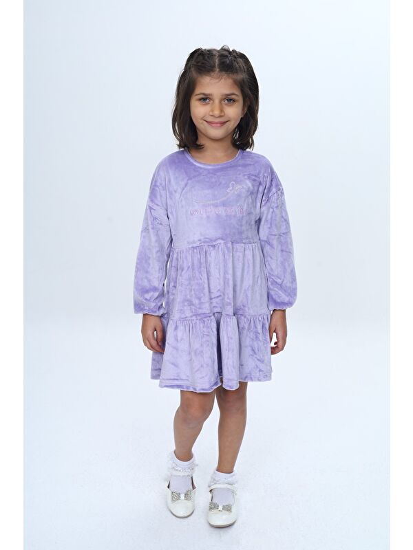 Toontoykids Kız Çocuk Nakışlı Elbise