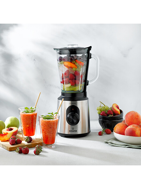 SCHAFER Vita Master Sürahi Blender - Inox