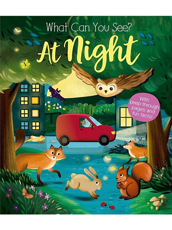 Little Tiger Press What Can You See At Night? (New Edition)