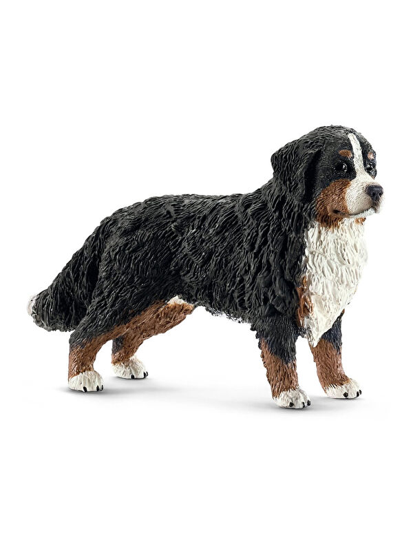 Schleich Dişi Bernese 16397