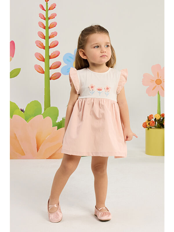Minycenter Kız Bebek Çiçek Nakışlı Kolları Fırfırlı Body Elbise 3 Ay-36 Ay Pudra