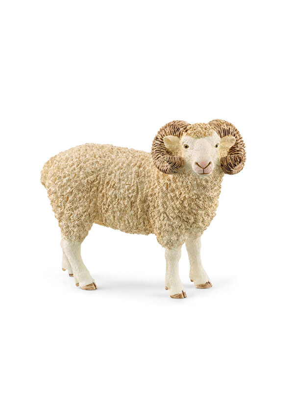 Schleich Koç 13937