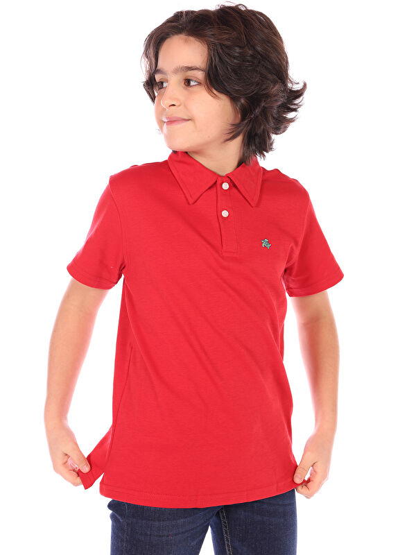 Toontoykids Erkek Çocuk Polo Yaka Tişört