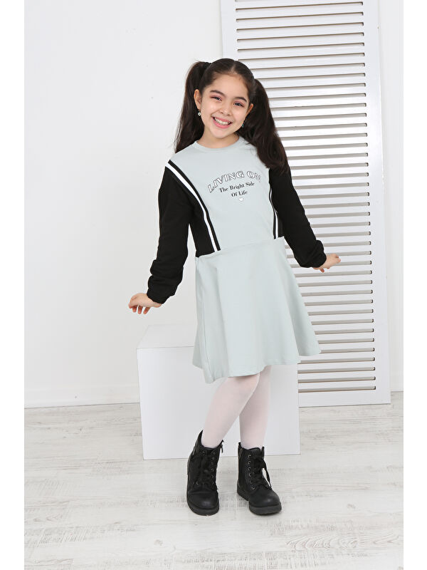 Toontoykids Kız Çocuk Garni Detaylı Baskılı Elbise