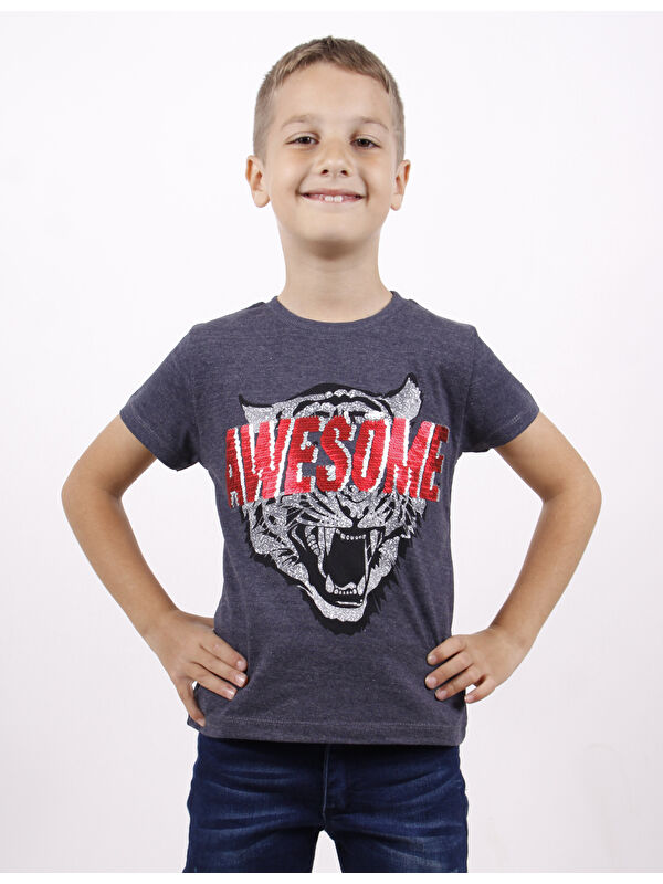Toontoykids Erkek Çocuk Awesome Pul Nakışlı T-Shirt