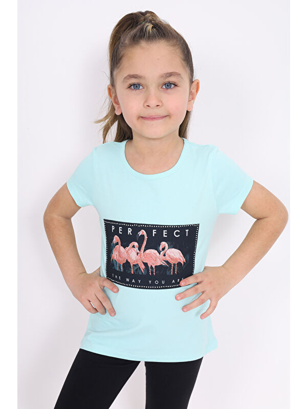 Toontoykids Kız Çocuk Flamingo Baskılı Tişört