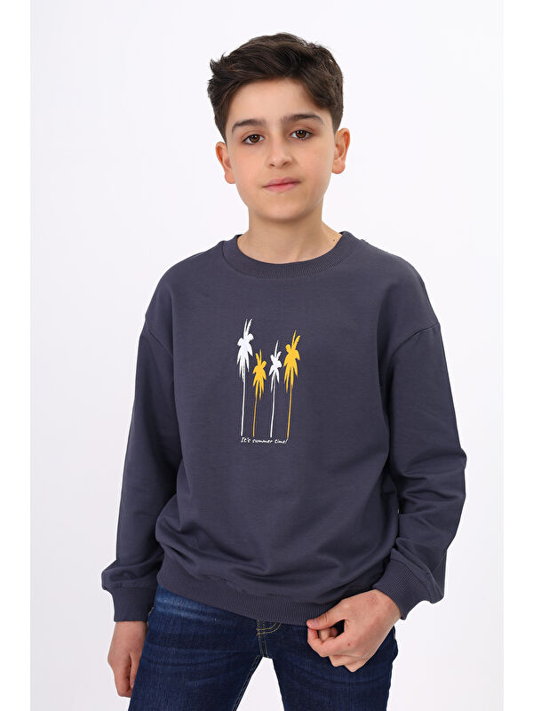 Toontoykids Erkek Çocuk Baskılı Sweatshirt
