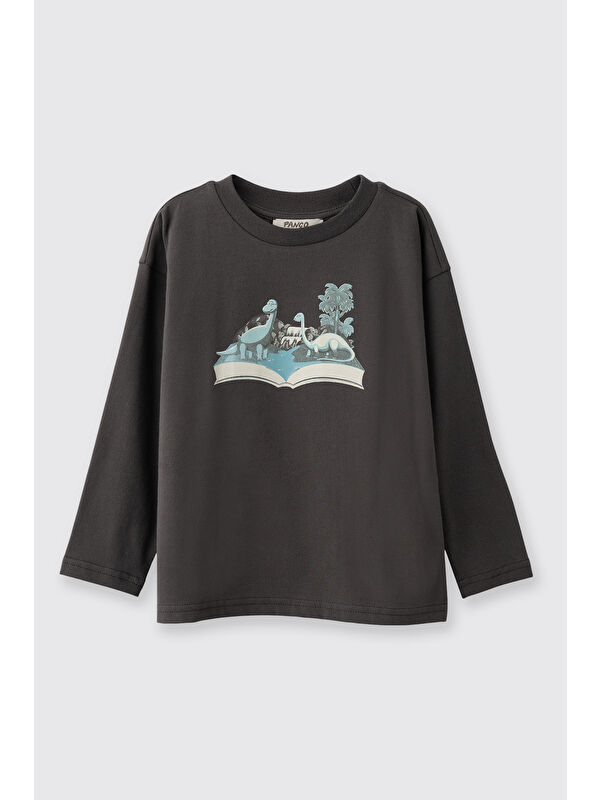 Panço Erkek Çocuk Dinozor Baskılı T-Shirt Antrasit