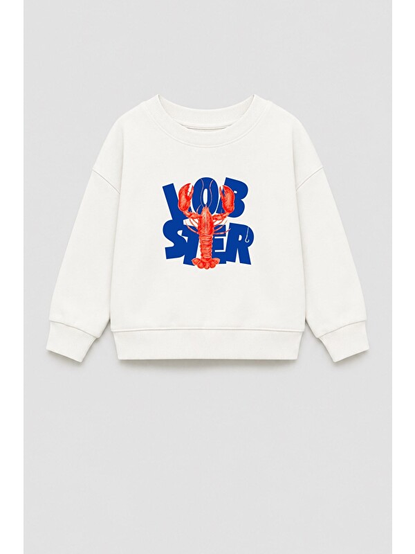 Monila Erkek Çocuk 3 İplik Kumaş  Pamuklu Baskılı Sweatshirt
