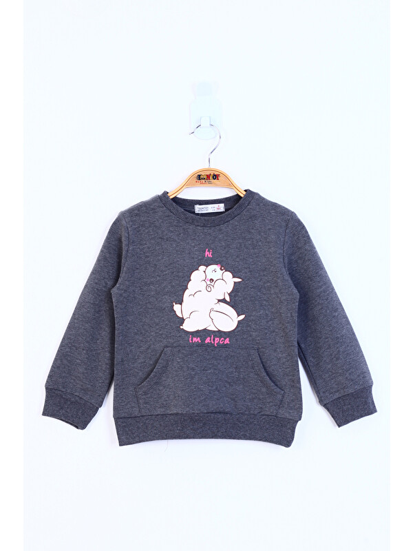 Toontoykids Kız Çocuk Kuzu Baskılı Sweatshirt