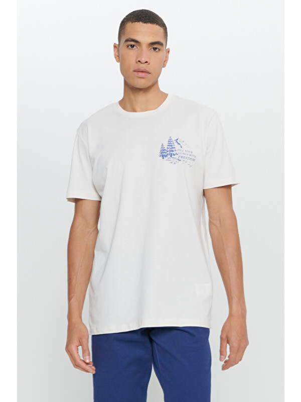 AC&Co / Altınyıldız Classics Erkek Açık Gri Standart Fit Normal Kesim %100 Pamuk Bisiklet Yaka Tişört