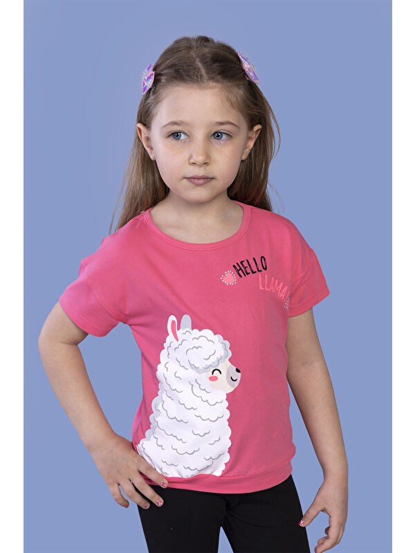 Toontoykids Kız Çocuk Kuzu Baskılı Tişört