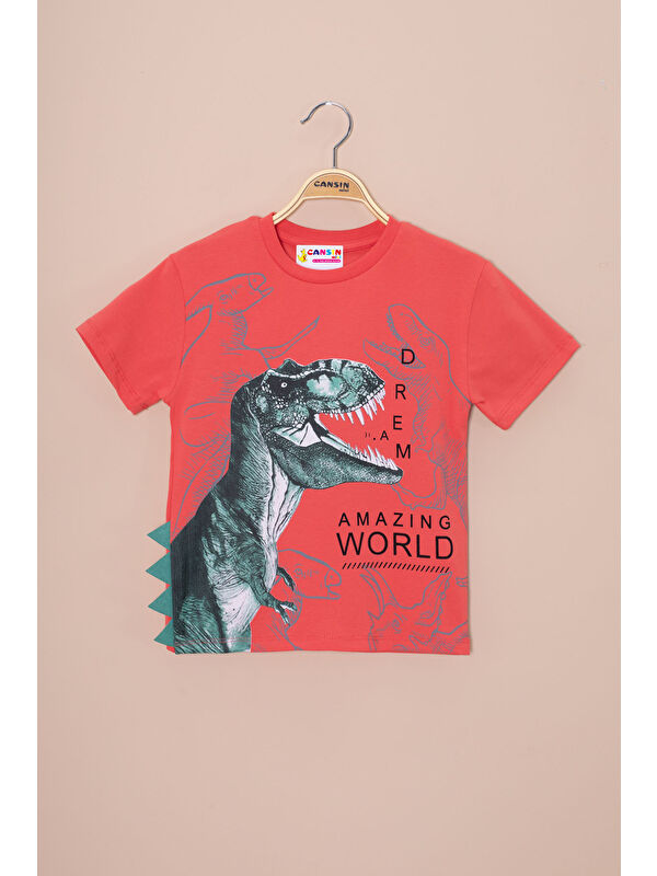Cansın Mini Kiremit Dinozor Baskılı Bisiklet Yaka Erkek Bebek Tişört 20953