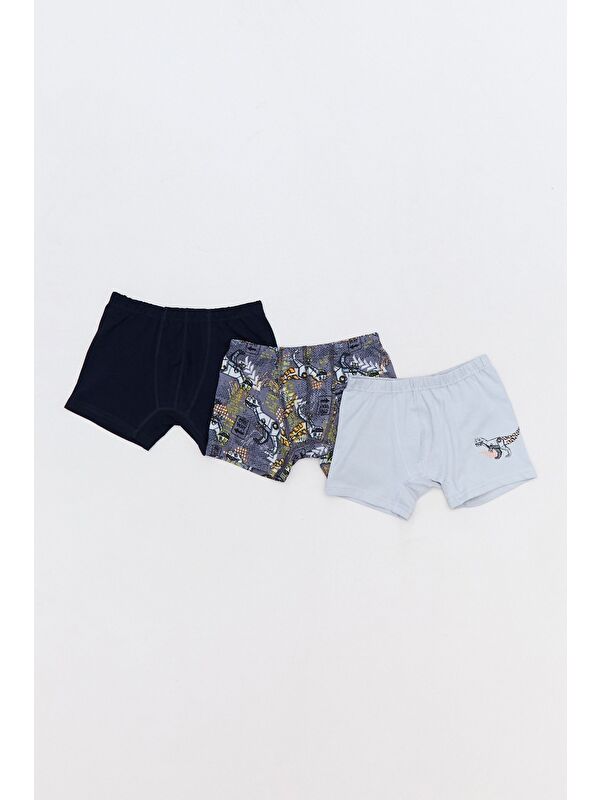 Fullamoda Dinozor Baskılı Erkek Çocuk 3 Lü Boxer