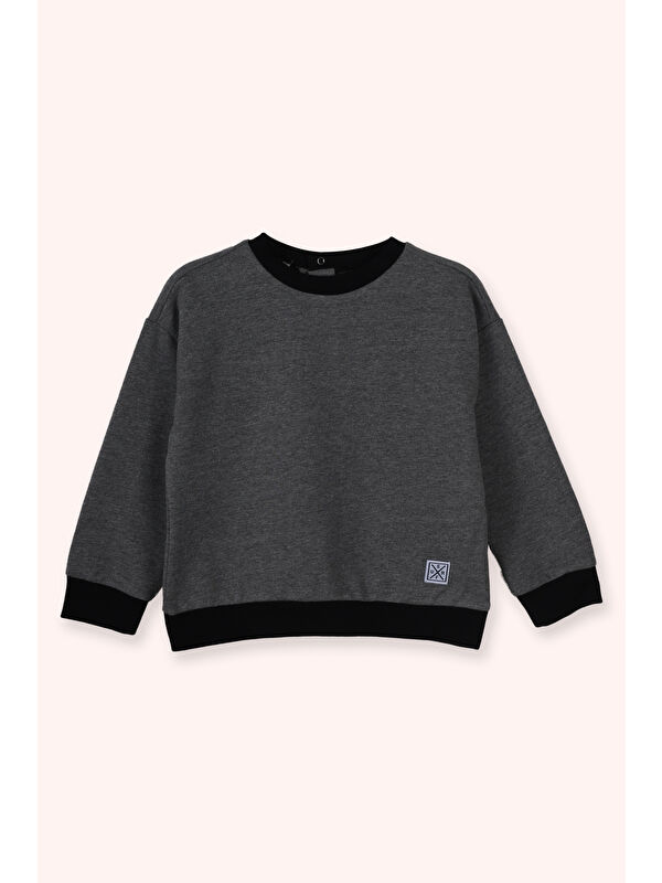 Panço Erkek Bebek Yuvarlak Yaka Antrasit Sweatshirt