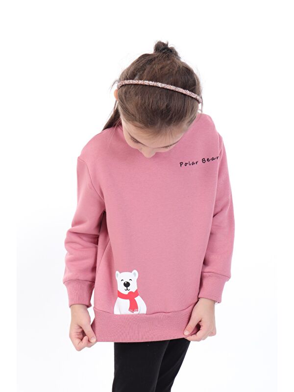 Toontoykids Kız Bebek Baskılı Sweatshirt