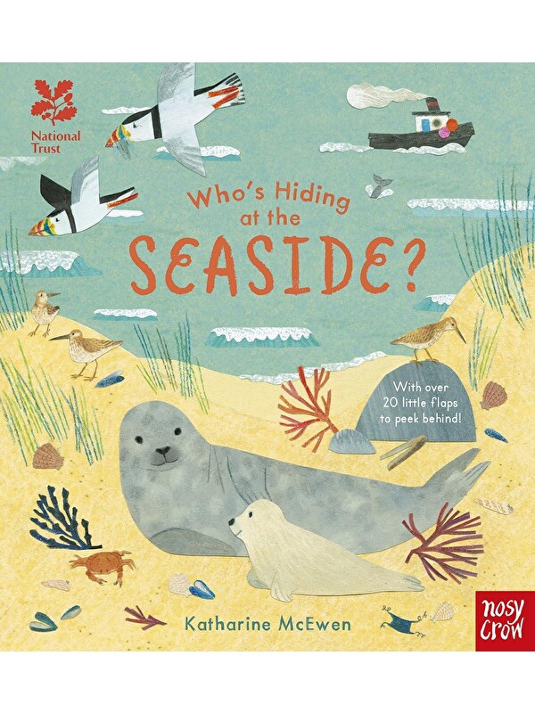 Nosy Crow Who's Hiding at the Seaside?