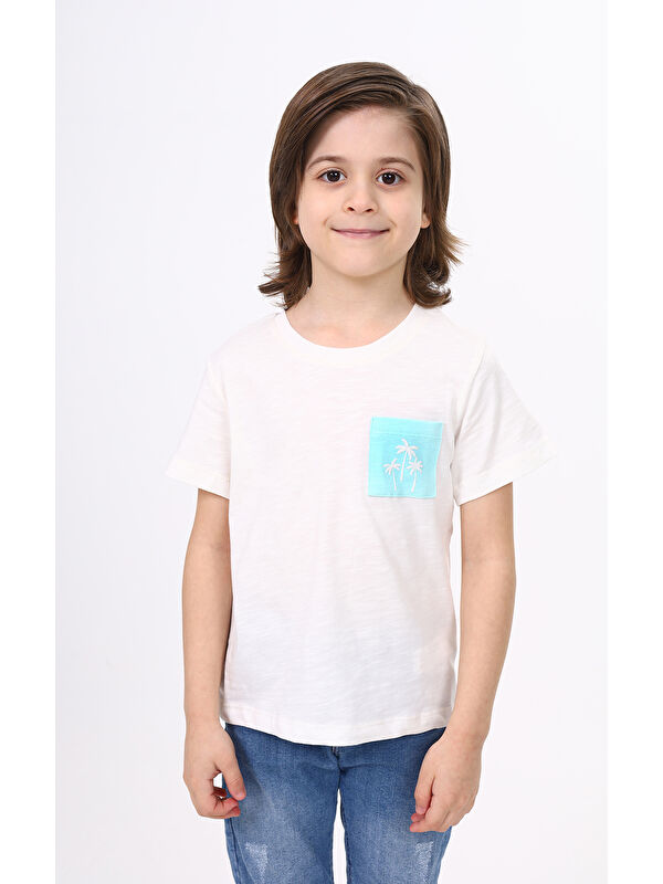 Toontoykids Erkek Çocuk Nakışlı Tişört