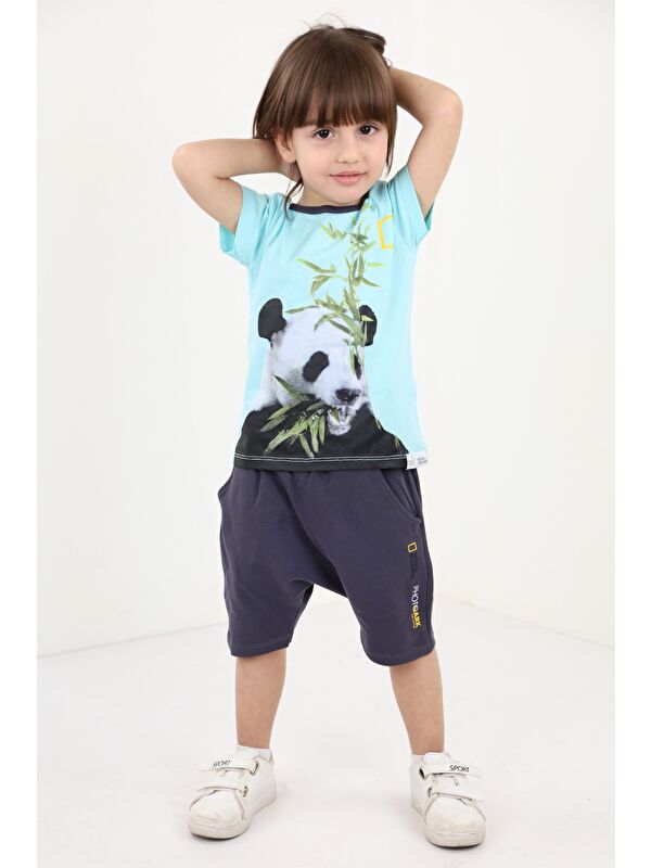 Toontoykids Erkek Bebek Baskılı Şortlu Takım
