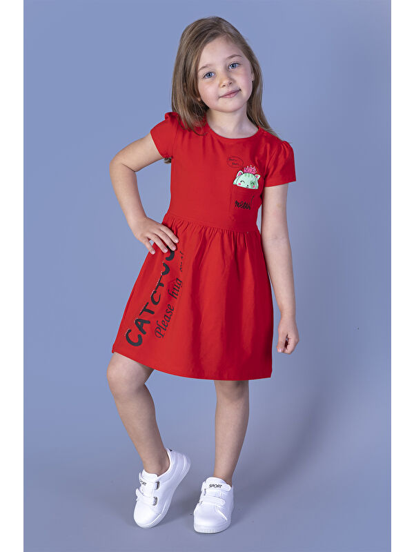 Toontoykids Kız Çocuk Cebi Meow Nakışlı Taş İşlemeli Baskılı Elbise